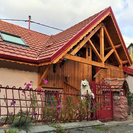 Gite Du Durrenbach Lautenbach Exteriör bild