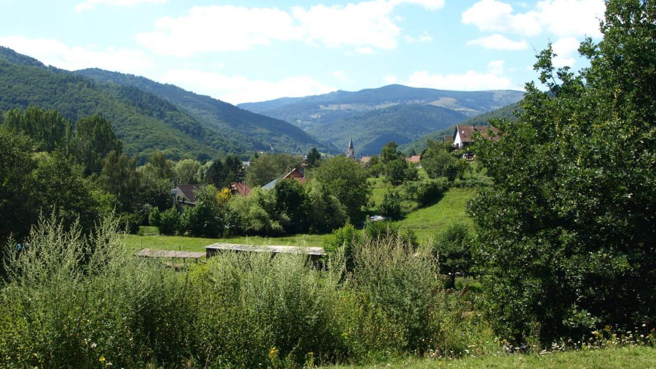 Gite Du Durrenbach Lautenbach Exteriör bild
