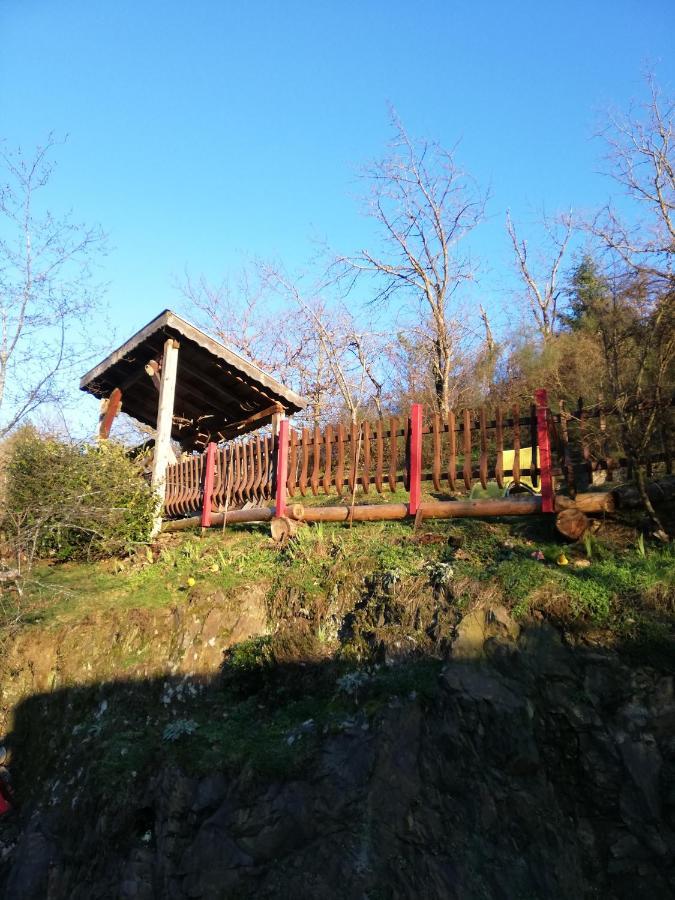Gite Du Durrenbach Lautenbach Exteriör bild